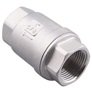 Check-Valve-SUS304-Spring-Loaded-Check-Valve